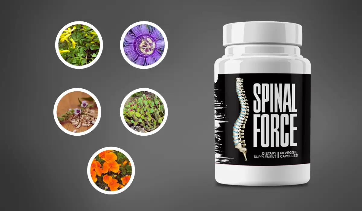 Spinal Force Ingredients