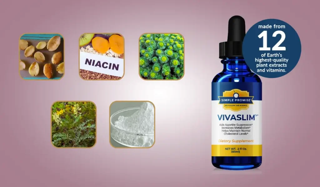 VivaSlim Ingredients