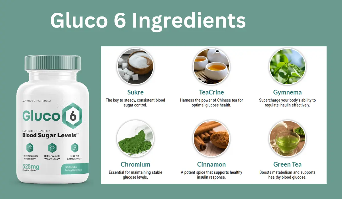 Gluco6 Ingredients