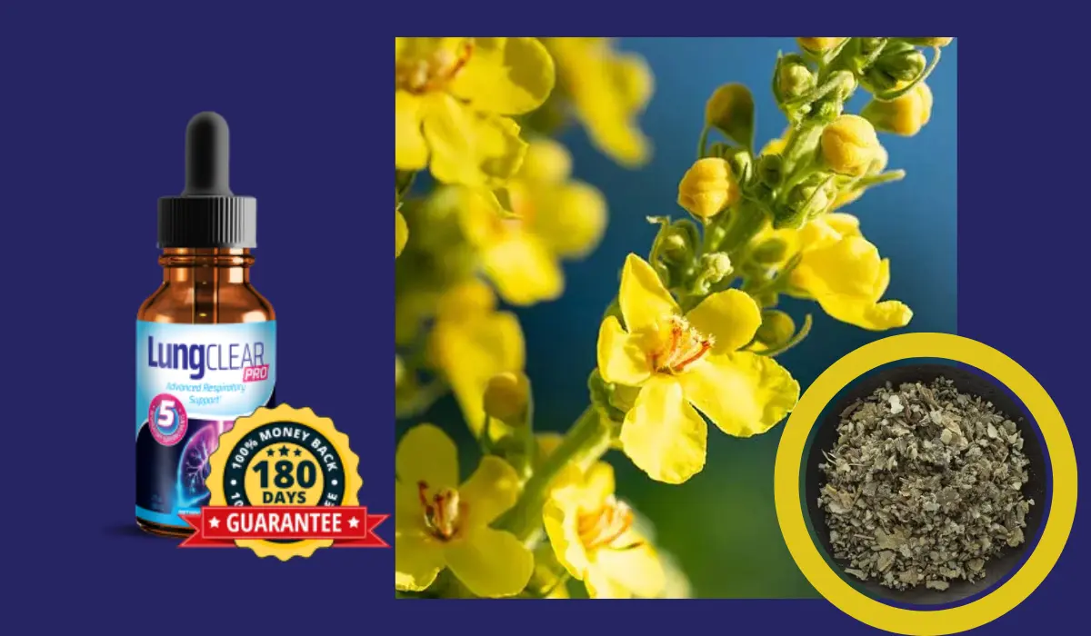 Lung Clear Pro Ingredients-Mullein Leaf